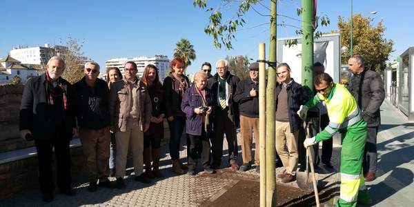 El Ayuntamiento planta 22 árboles en el Paseo de las Delicias dentro de la campaña de actuación en 1.000 alcorques vacíos