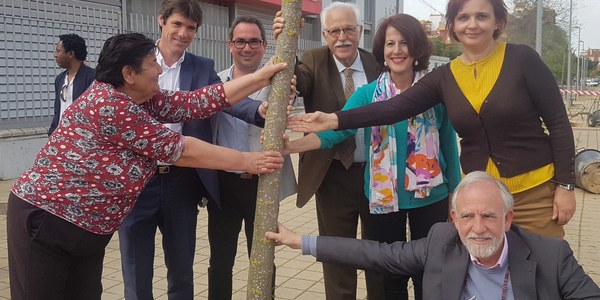 El Ayuntamiento planta unos 200 ejemplares de árboles en el Polígono Sur dentro de la planificación de 1.000 para Sevilla