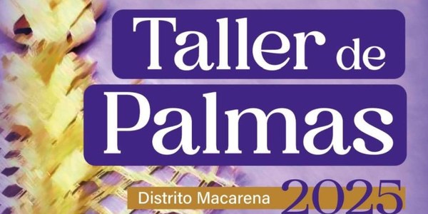 Taller de Palmas