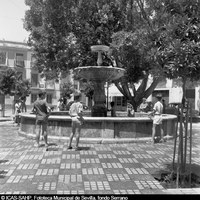 Algo inevitable para los niños que juegan junto a la Pila del Pato de la plaza de San Leandro. Julio de 1967 ©ICAS-SAHP, Fototeca Municipal de Sevilla, fondo Serrano