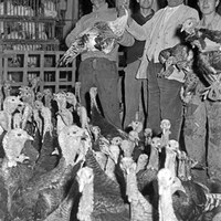 Venta ambulante de pavos y aves para la cena de Navidad. 1960 ©ICAS-SAHP, Fototeca Municipal de Sevilla, fondo Cubiles 