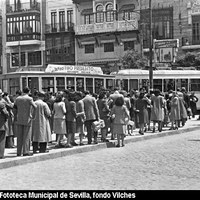 Parada de tranvías en la plaza de San Francisco. Numerosas personas guardan cola esperando la llegada del trasporte público. Los tranvías dejarían de circular en 1960. 1946.  ©ICAS-SAHP, Fototeca Municipal de Sevilla, fondo Vilches