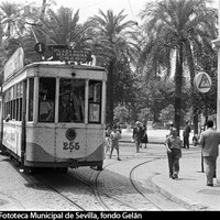 Embocando la calle Tetuán, tranvía eléctrico de la línea 1 que realiza el trayecto Plaza Nueva-Macarena-Osario. 1959. ©ICAS-SAHP, Fototeca Municipal de Sevilla, fondo Gelán