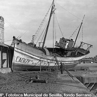 Efectos de la inundación junto a la Torre del Oro. 1947 ©ICAS-SAHP, Fototeca Municipal de Sevilla, fondo Serrano