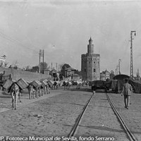 Puerto de Sevilla. Burros cargados con cajas de naranjas se dirigen al embarcadero. 1925-1928  ©ICAS-SAHP, Fototeca Municipal de Sevilla, fondo Serrano