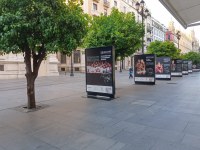 FOTO EXPOSICION PASAJE BEGOÑA EN AVDA CONSTITUCION